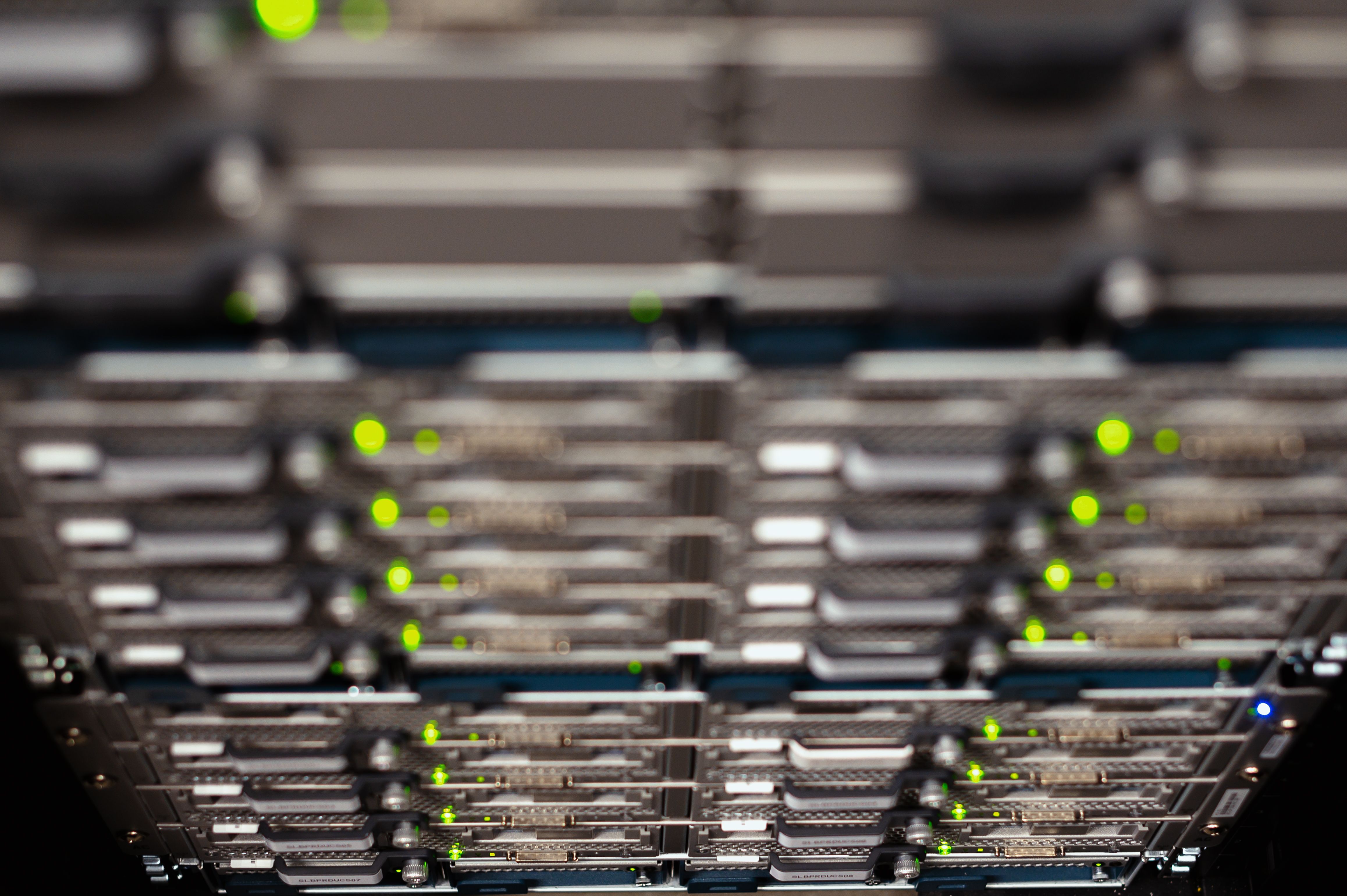 Hosting und Wartung